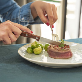Set de 6 couteaux à steak...