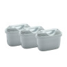 Lot de 3 cartouches filtrantes10275