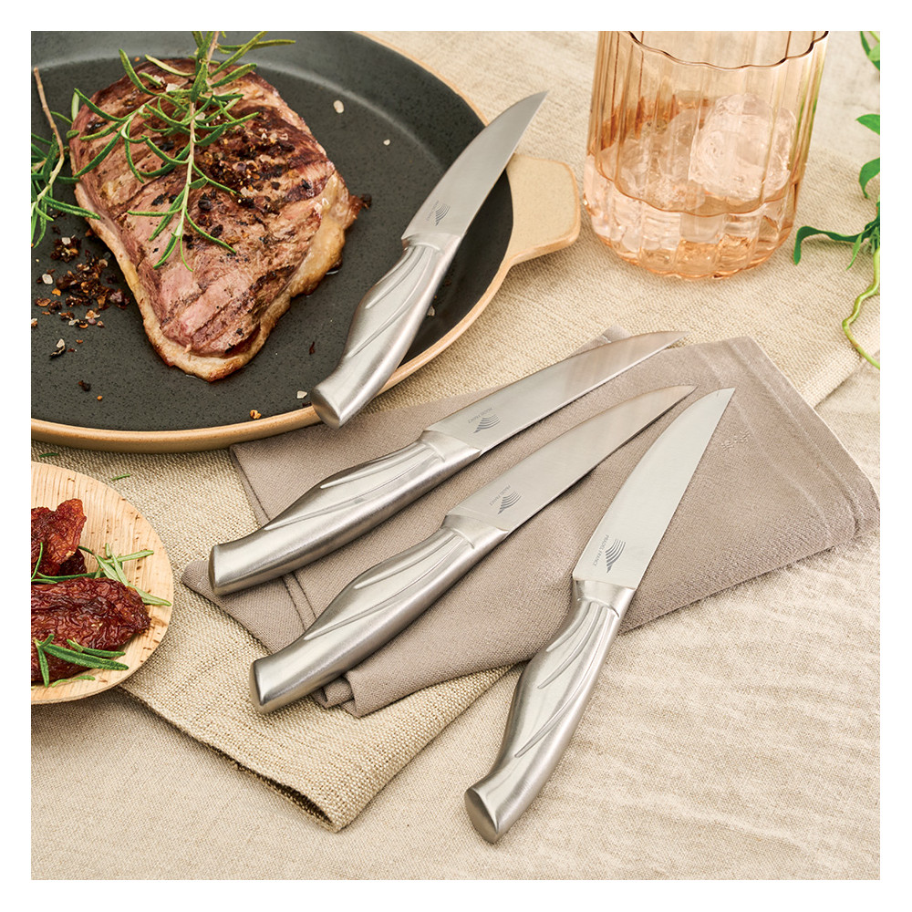 Set de 4 couteaux à steak tout inox + 1 Set 4 couteaux OFFERT