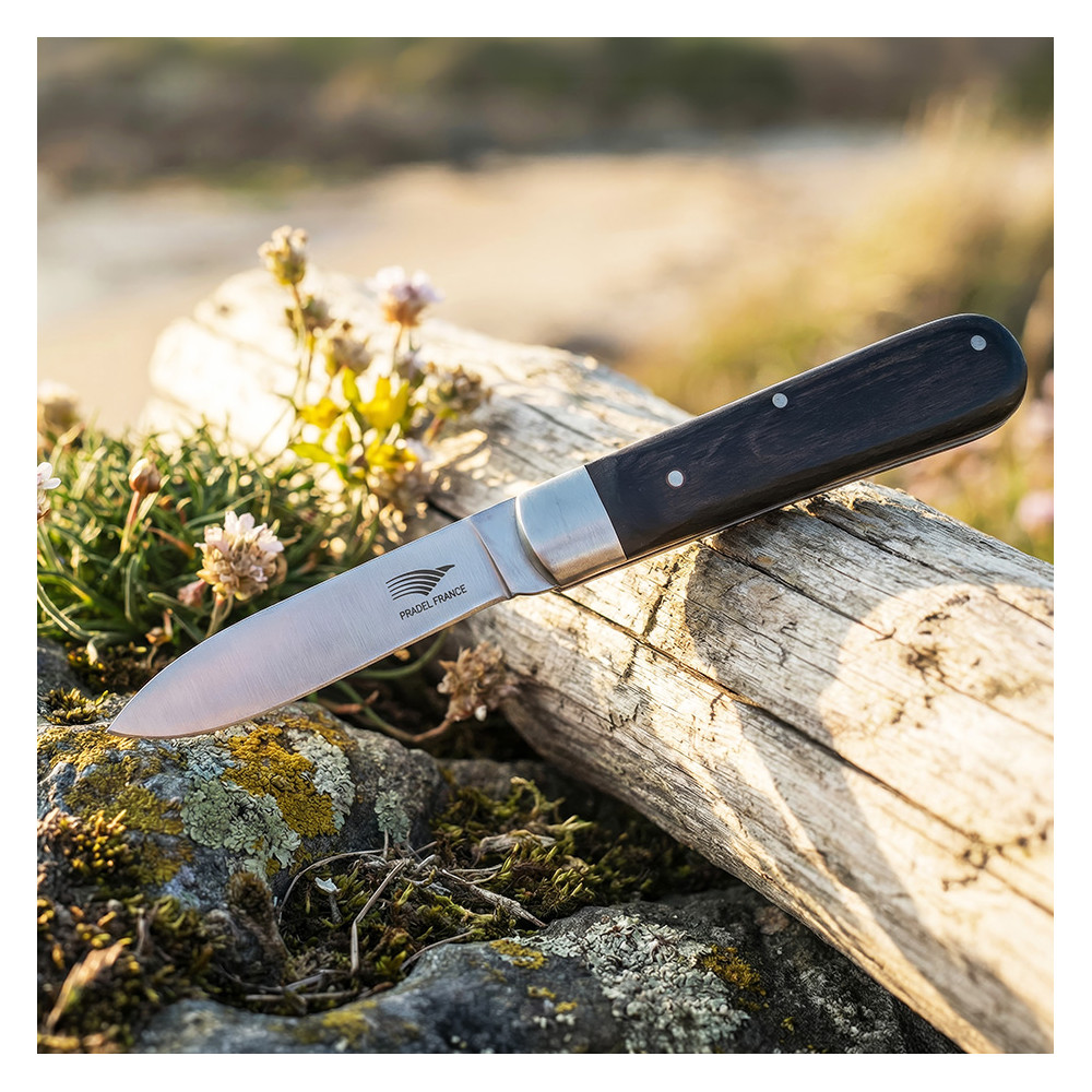 Couteau de poche "Le Pradel"
