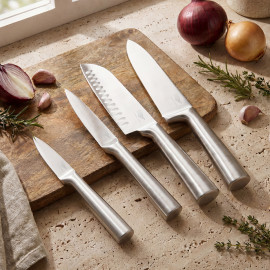 Set de 4 couteaux de cuisine tout inox