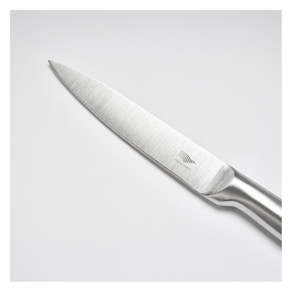Set de 4 couteaux de cuisine tout inox