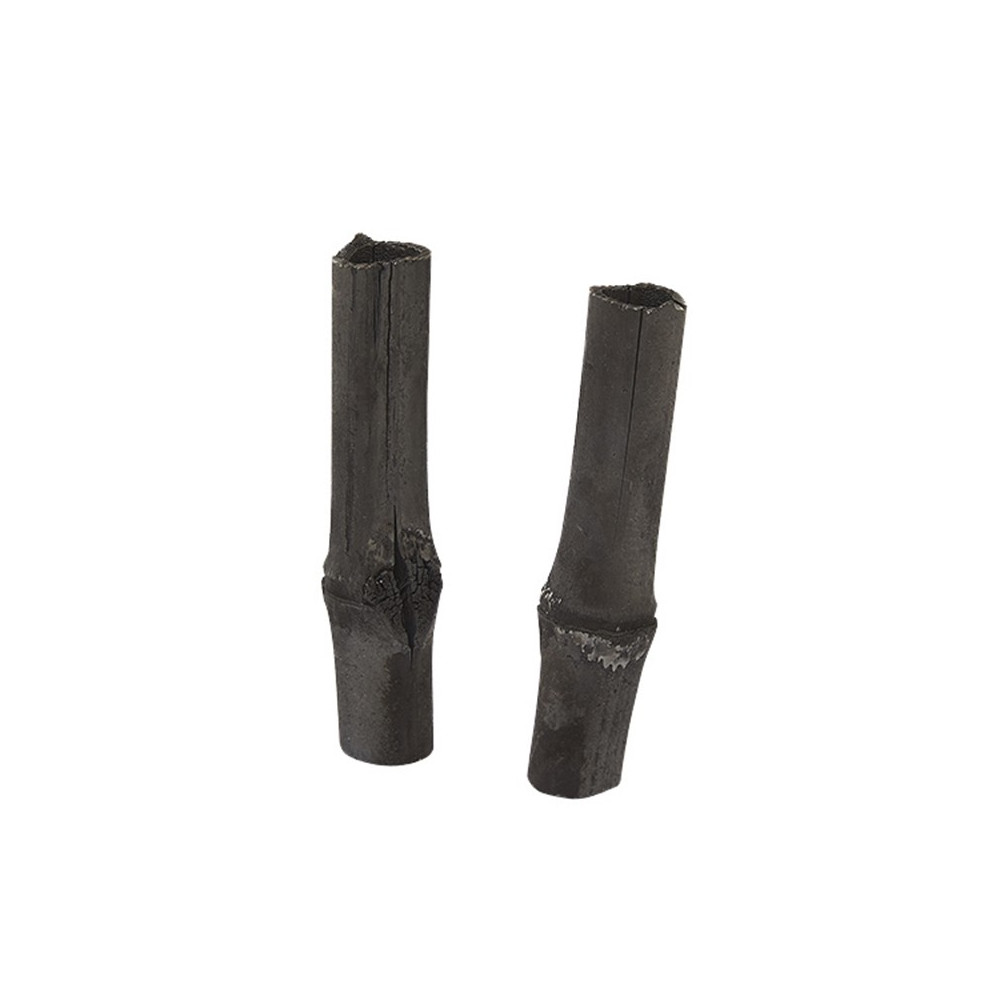 Lot de 2 bâtons de charbon filtre à eau