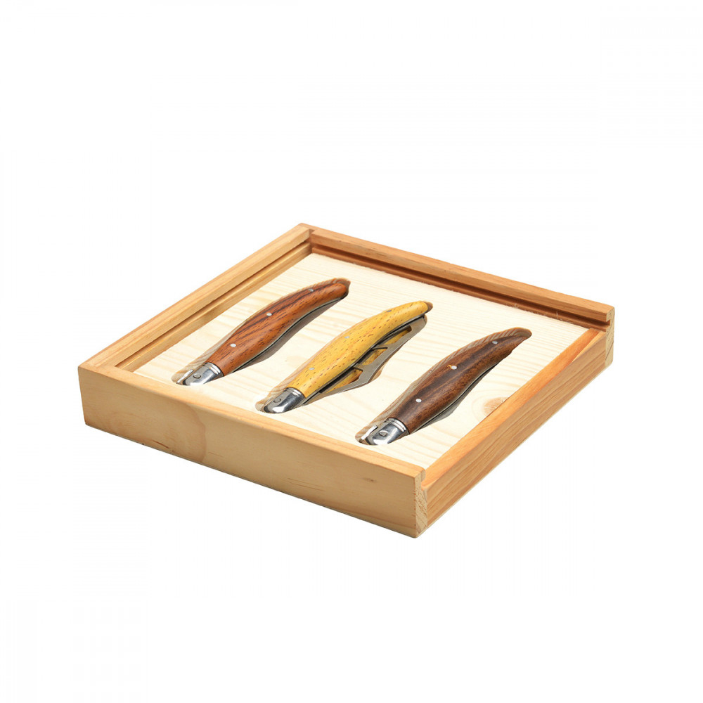 Coffret 3 couteaux pliants