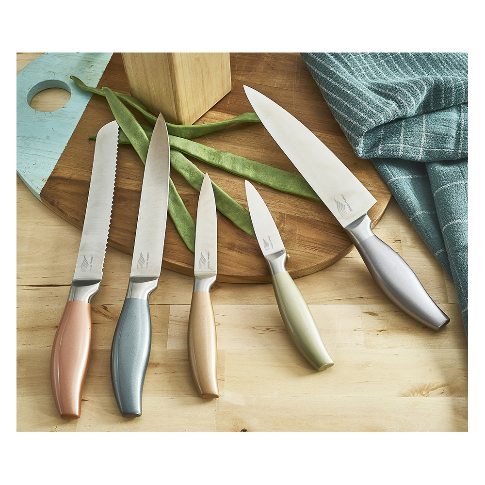 Lot de 5 couteaux tout inox colorés