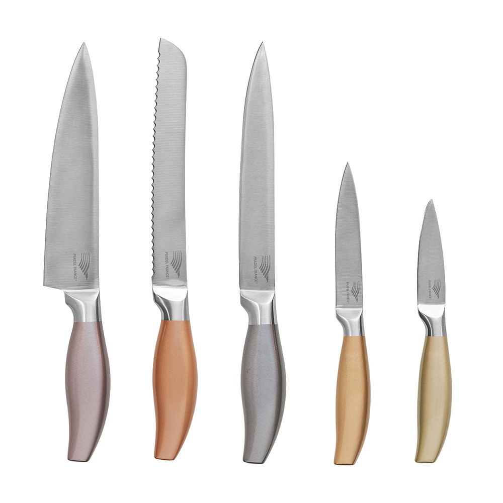 Lot de 5 couteaux tout inox colorés