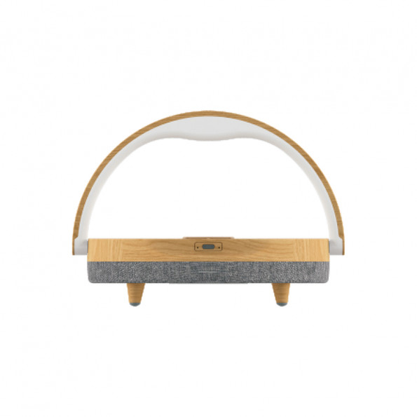 Enceinte multifonction Bluetooth Akenza8356