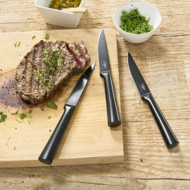 Set de 6 couteaux à steak...