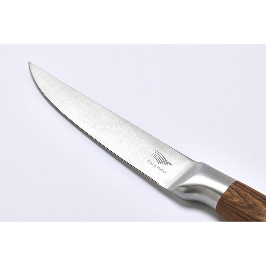 Lot De 4 Couteaux à Steak La Fourmi - Lame Inox 10 Cm, Manche ABS Rouge, Neuf