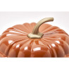 Cocotte citrouille9702 Cocotte citrouille9702