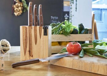 PRADEL EXCELLENCE - Urban - set de 4 couteaux cuisine dans une