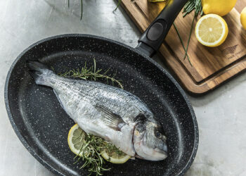 Quelle poêle choisir ? Le guide complet pour bien choisir